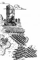 logo-Cave-de-MONS.jpeg